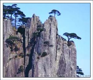 Scenic Lookouts