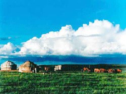 Prairie