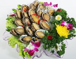 Abalone