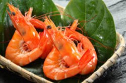 Wanshan Prawn