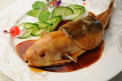 Braised Balloon Fish in Brown Sauce