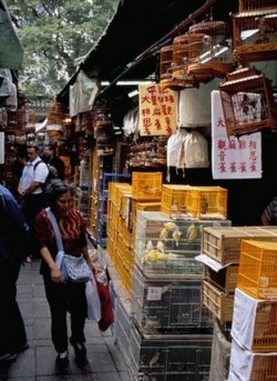Hong Kong Yeum Po Bird Street Garden