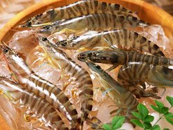 Yantai Seafood