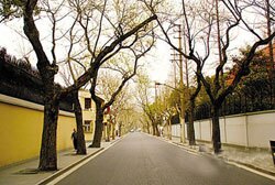 Wukang Road