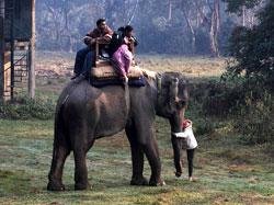 Royal Chitwan National Park