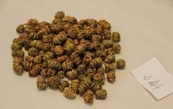 Traditional Chinese Medicinal Products