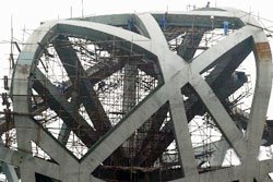 The Bird's Nest