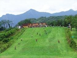 Xining Snow Mountain Ski Resort grass skiing