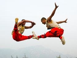 Shaolin Martial Arts