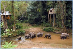 Xishuangbanna