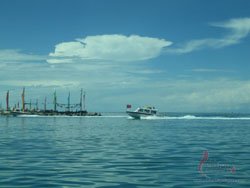 Qinghai Lake