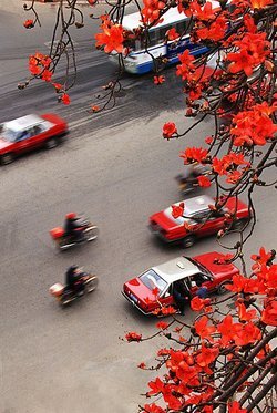 Guangzhou City Transportation