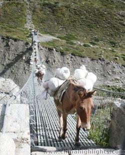 Annapurna Region
