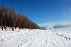 Alshan Ski Resort