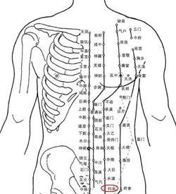 Acupoints Figure