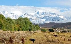 Tibet in September