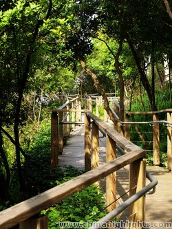 Ma Wan Park in Hong Kong