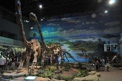 Zigong Dinosaur Museum
