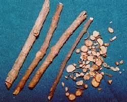 Cinnamon Twigs