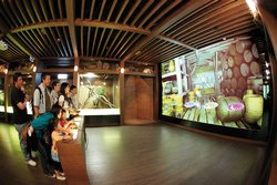 The Museum of Noah's Ark Amusement Park