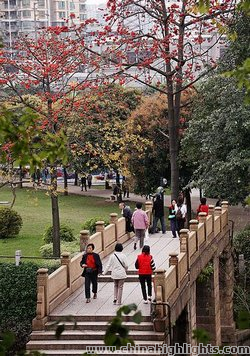 Zhuhai Autumn Scenery