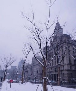 Snow Scenery of the Bund, Shanghai