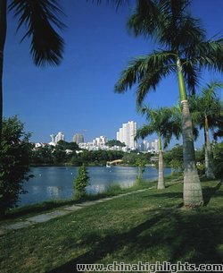 Zhuhai Spring Scenery