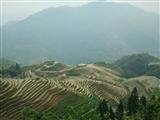 Longsheng Terraced Field - Jinkeng Longsheng Terraced Field - Jinkeng