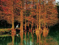 South China Botanical Garden