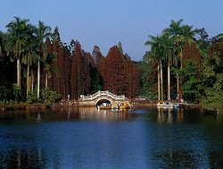South China Botanical Garden