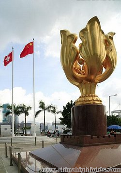Golden Bauhinia Square