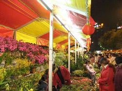 New year flowers market in Guangzhou