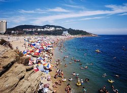 Summer Scenery of the Seaside in Dalian