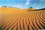 Tonghu Grassland in Tenggeli Desert Tonghu Grassland in Tenggeli Desert