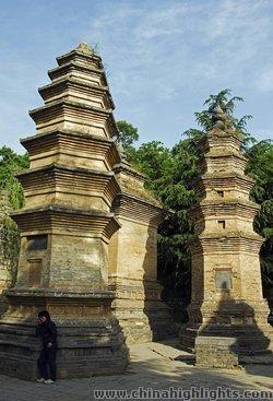 The Pagoda Forest