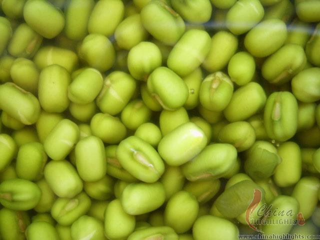 Mung Bean