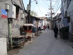 Shaanxi Xiang