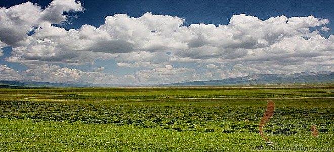 Qilian Mountain Grassland