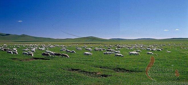 Xilingol Grassland