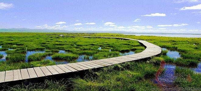 Sangke Grassland