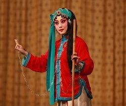 The Woman Prisoner