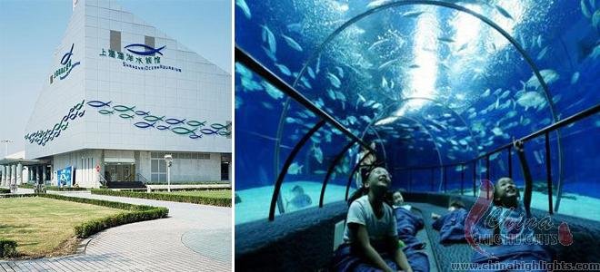Shanghai Oceanarium