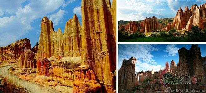The “Soil” Forest in Yuanmou