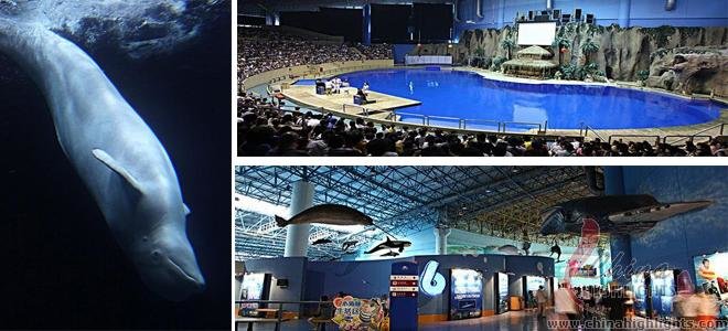 Beijing Aquarium
