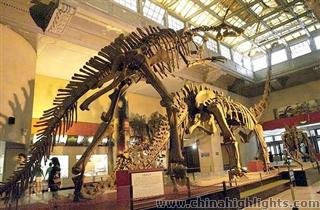 Shanghai Natural History Museum<span