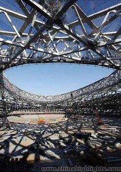 The Bird's Nest