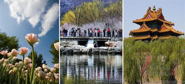 Beijing Botanical Garden