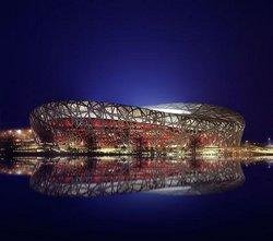 The Bird's Nest