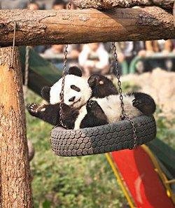 Beijing Zoo
