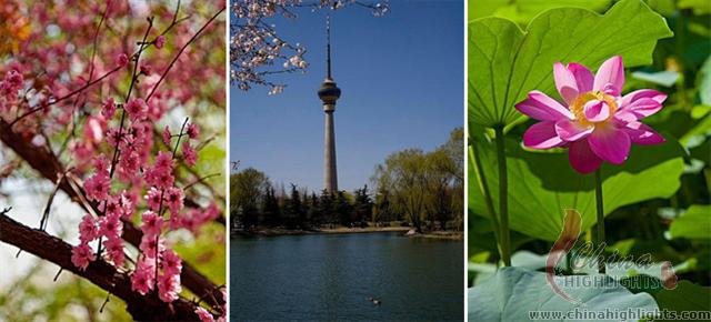 Yuyuantan Park